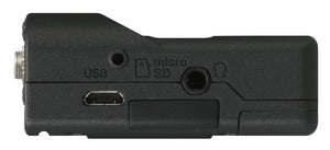 Tascam DR-10L