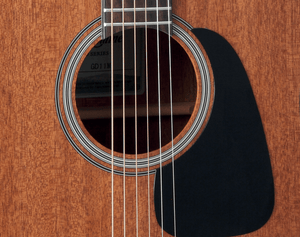 Takamine GD11M-NS akustinė gitara
